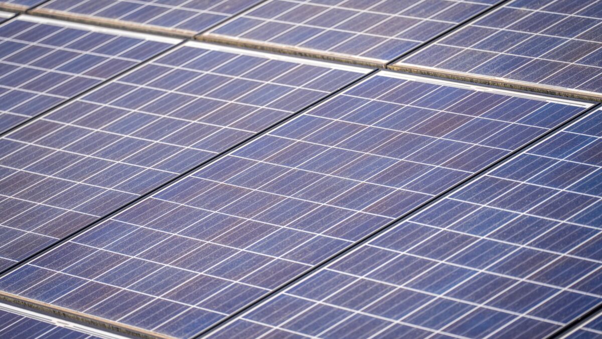 Nahaufnahme einer Reihe blauer Solarmodule mit quadratischen Zellen, schräg aus der Perspektive fotografiert, unter diffusem Licht.