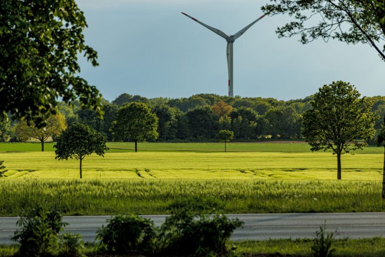Wie der Klimawandel unseren Alltag beeinflusst