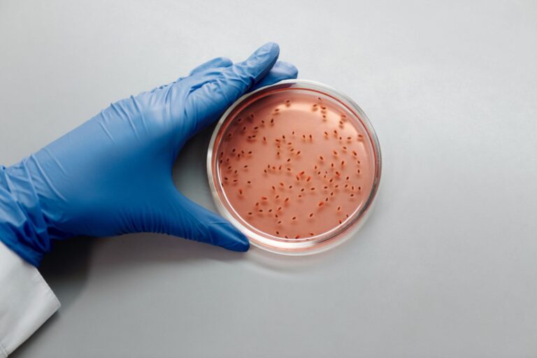 Wissenschaftler „spielen Gott“ und erschaffen bakterielle Superwesen: Sind wir bereit für diese genetische Revolution, die uns vor Viren schützen soll?